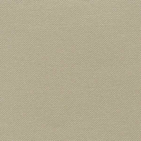 Heritage Metallic Beige - A4